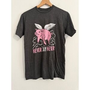 Solid Threads -‎ Heathered Gray Flying Pig "Never Say Never" Graphic Tee Size Sm
